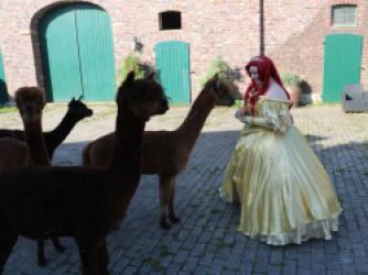 Kigurumi meet Germany 2020