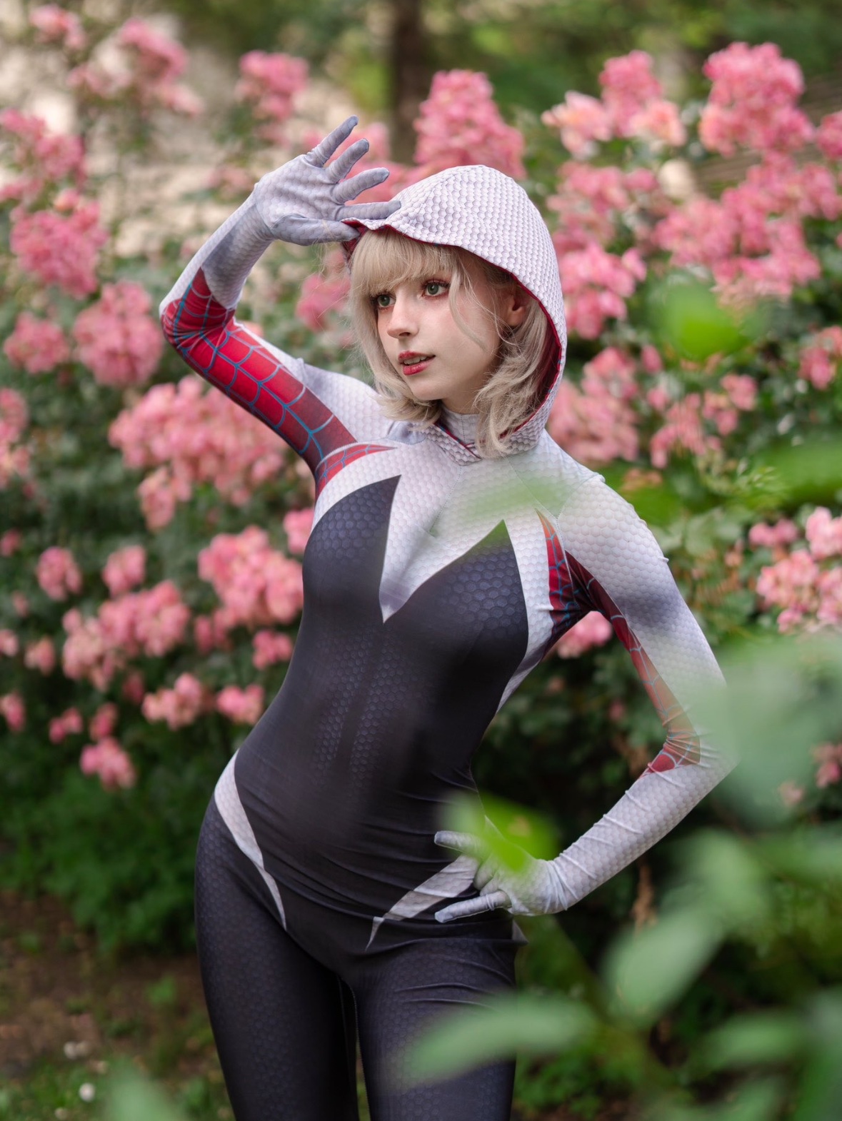 Spider Gwen