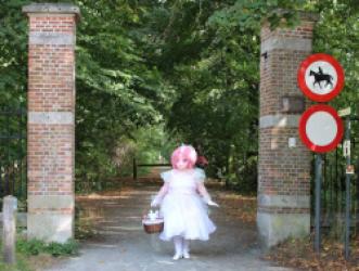walk in the park