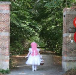 walk in the park