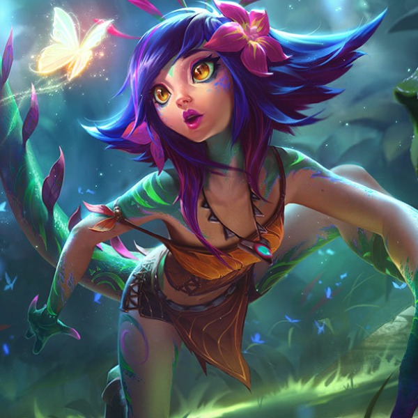 neeko basic