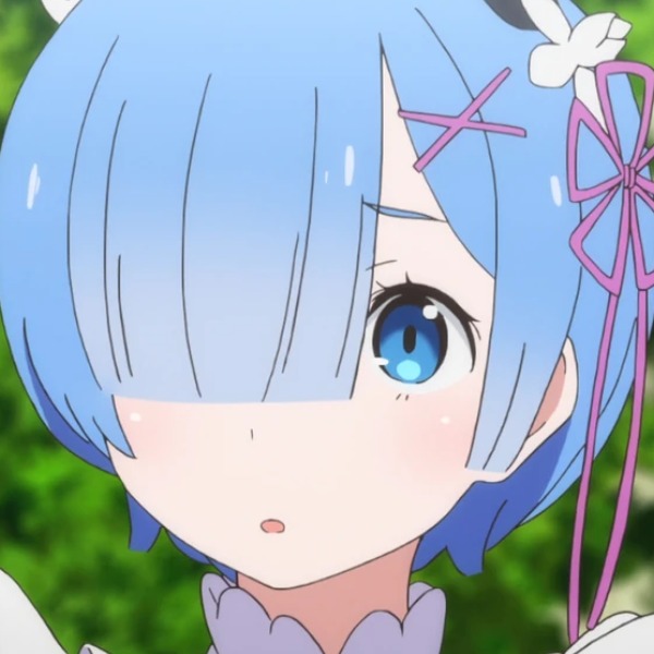 rem + ram