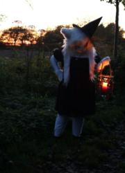 Halloween 2024