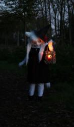 Halloween 2024