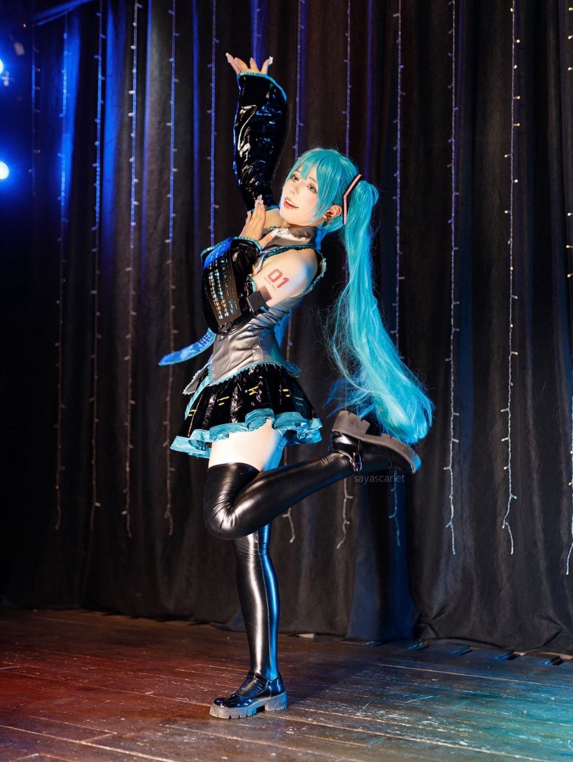 Hatsune Miku Vinyl