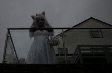 kigurumi meet UK 2024