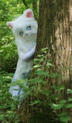 walk in the park 2024