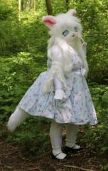 walk in the park 2024