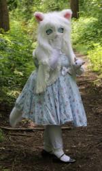 walk in the park 2024