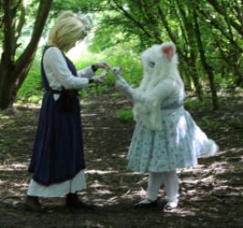 walk in the park 2024