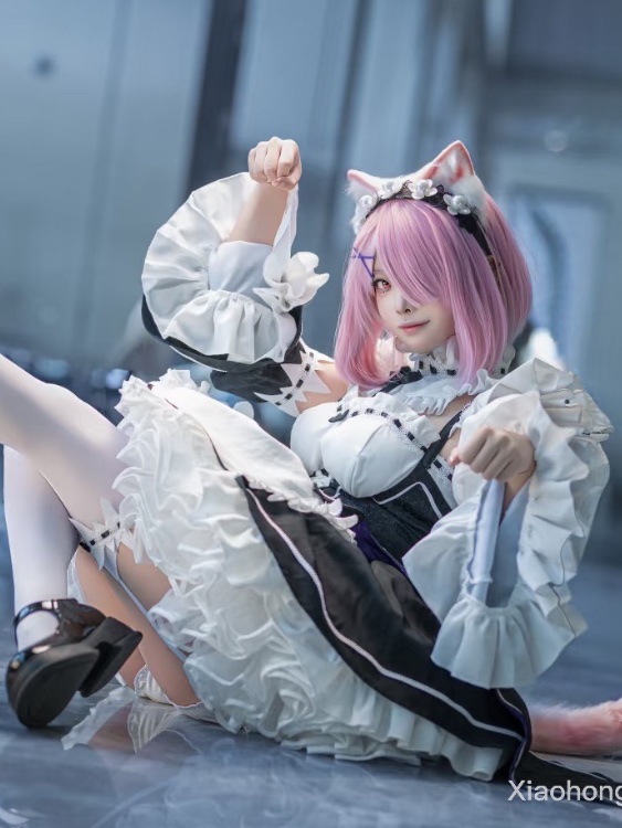 Fancy Maid Ram