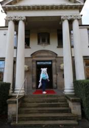 kigurumi meet UK 2024