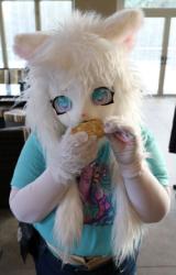 kigurumi meet UK 2024
