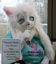 kigurumi meet UK 2024