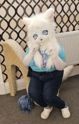 kigurumi meet UK 2024