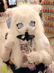 Anime North 2025 falls