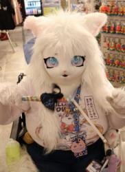 Anime North 2025 falls