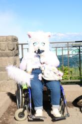 Anime North 2025 falls