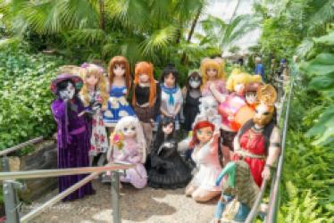 Anime North 2025 falls