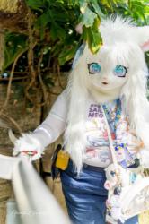 Anime North 2025 falls