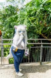 Anime North 2025 falls