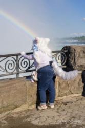 Anime North 2025 falls