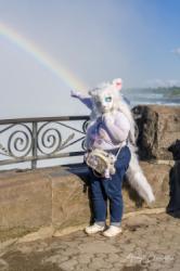 Anime North 2025 falls