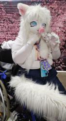 Anime North 2025