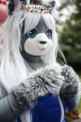 kigurumi meet Belgium 2025