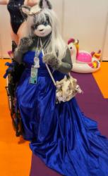 Japan Expo 2025