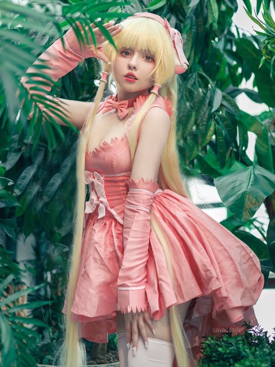 Pink Bow Chi
