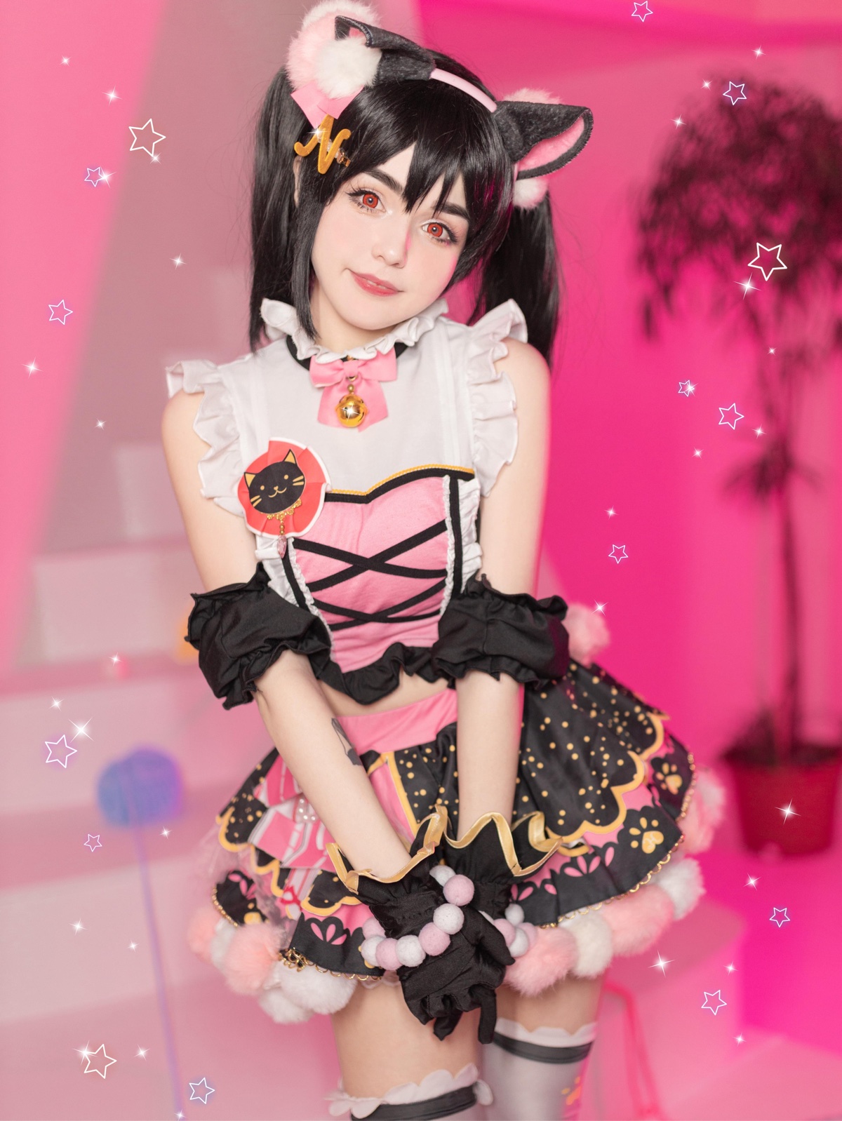 Cat Nico Yazawa