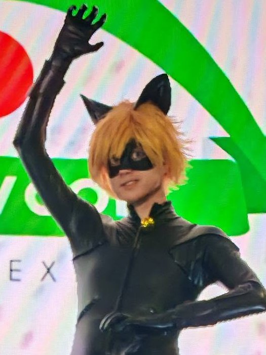 Cat Noir