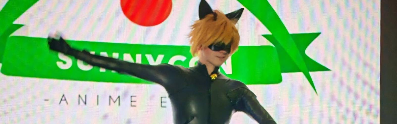 Cat Noir