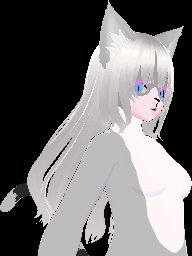 fursuit Salt