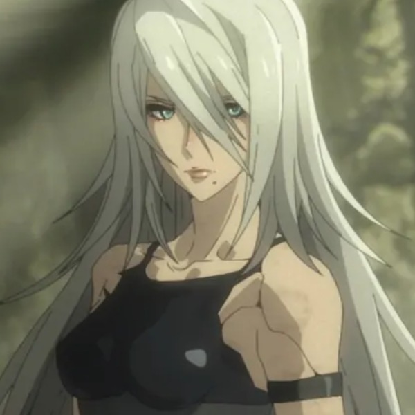 A2